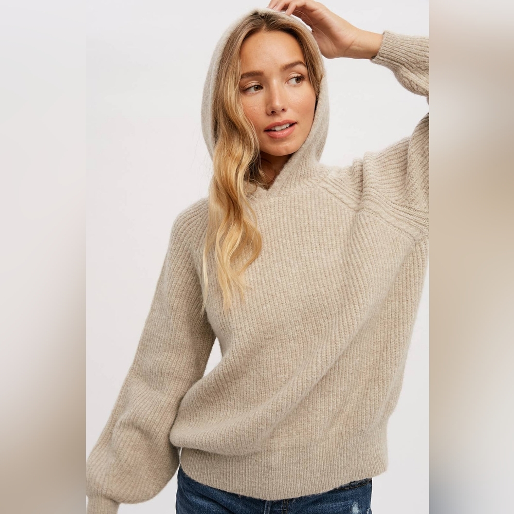 BluIvy Sweater Hoodie